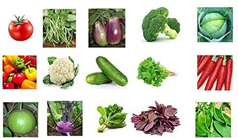PremiumQuality Winter Vegetable Seeds Seed  (60 g)