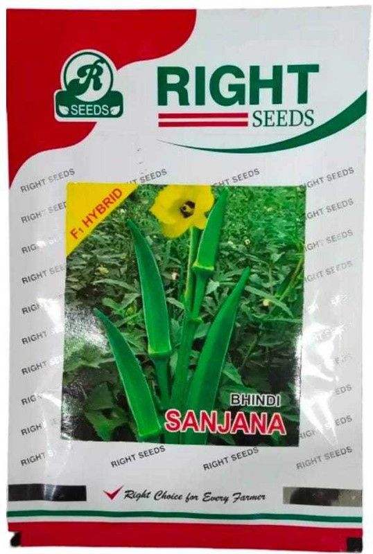 sanjanaseeds Ladyfinger Seed  (50 g)
