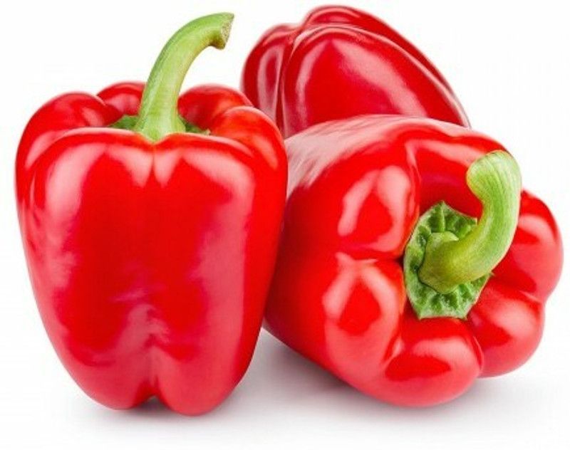 Kirat Capsicum Red (Shimla Mirch) / शिमला मिर्च लाल Seed  (100 per packet)