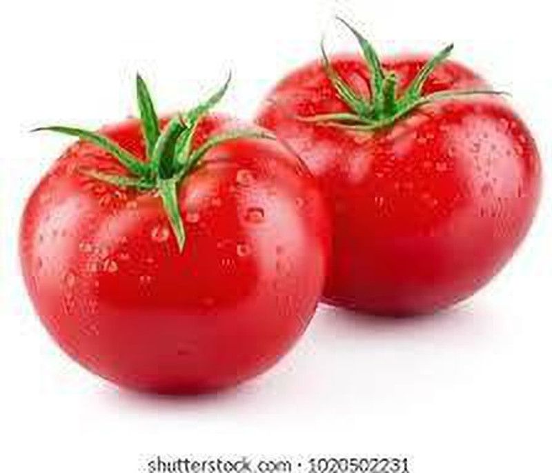 Oliver F1 Quality tomato seed Seed  (35 per packet)
