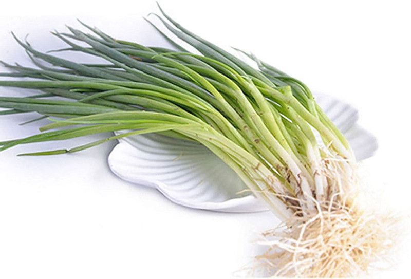 CYBEXIS Heirloom Green Onion Seeds4000 Seeds Seed  (4000 per packet)
