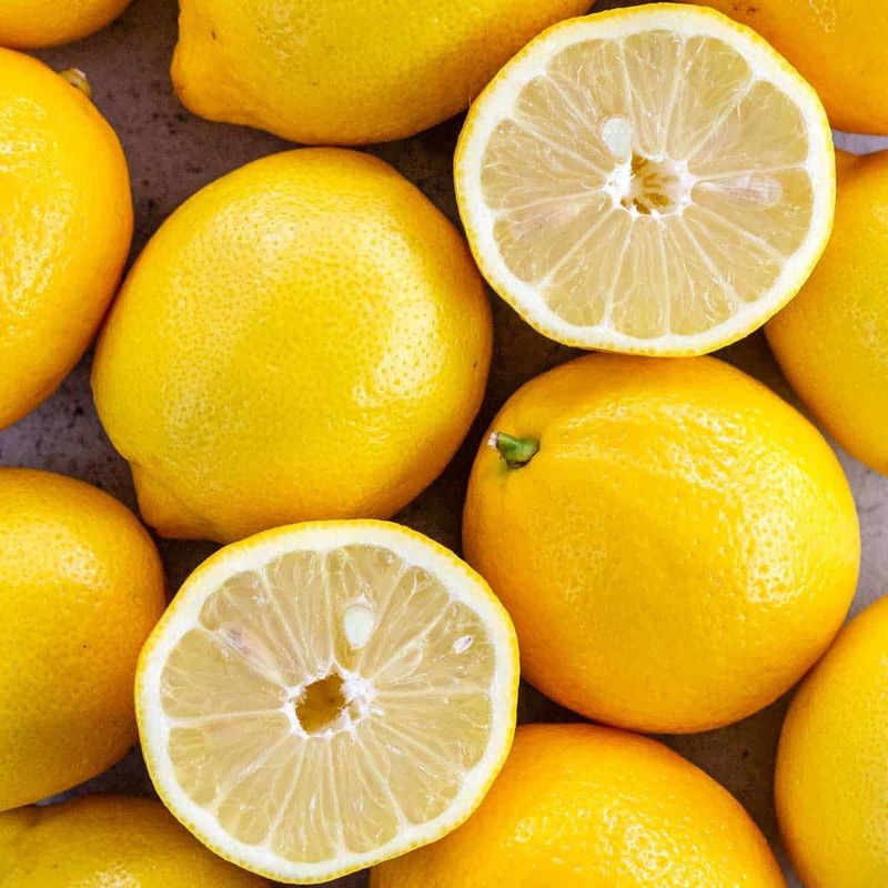 PLANTZON Lemon Plant Seed  (36 per packet)