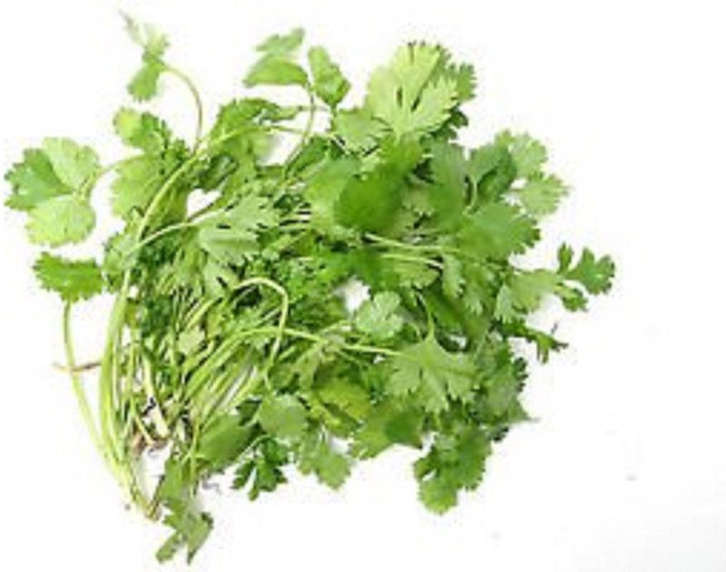 NeLeSa Gardening Corainder Seed  (100 per packet)