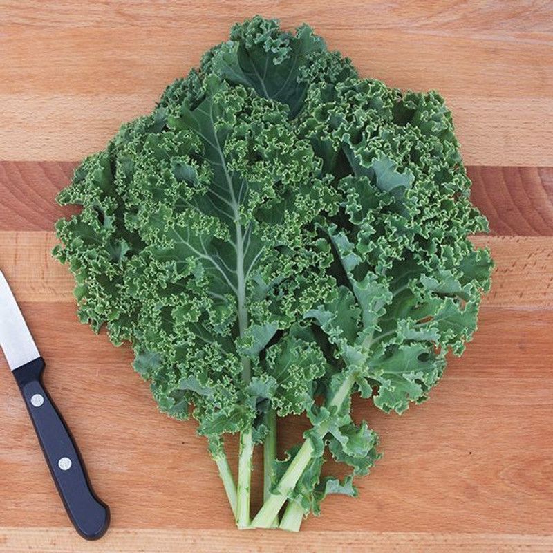 Paudha Green kale Seed  (11 per packet)