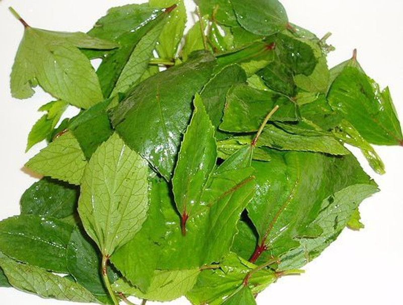 CARIBBEAN Ambada/Gongura Seed  (57 per packet)