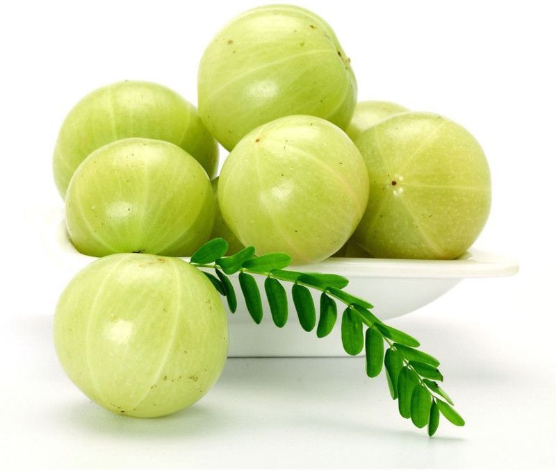 PLANTZON Amla Seed  (35 per packet)