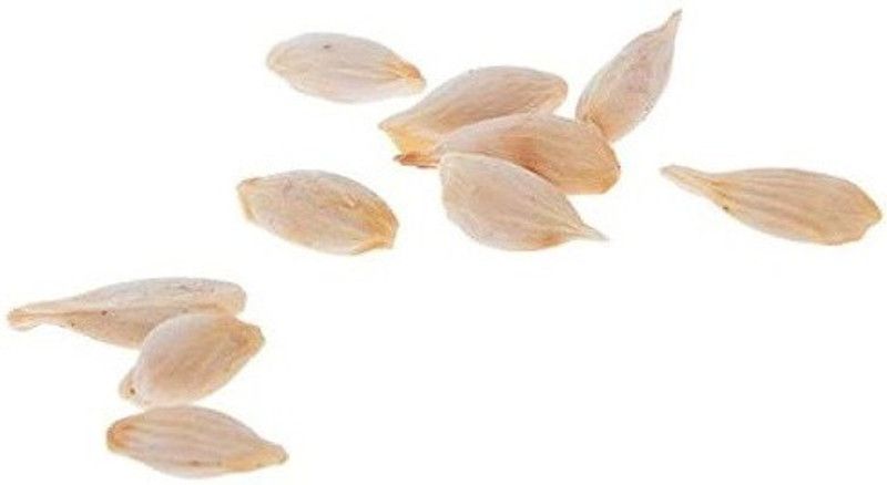 VibeX ™ XII-1307 Hybrid Kagzi Lemon Dwarf Variety Seed  (14 per packet)