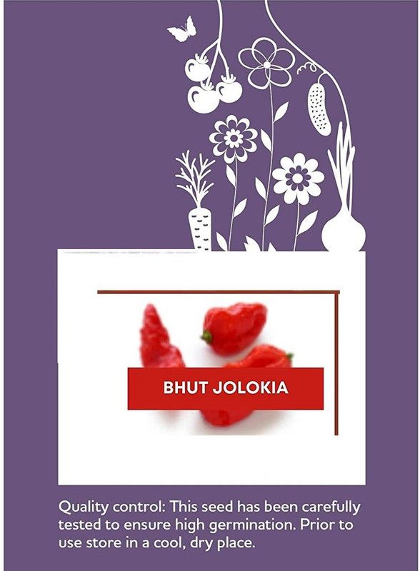 CYBEXIS F1 Hybrid Bhut Jolokia Hot Chilli Seeds1200 Seeds Seed  (1200 per packet)