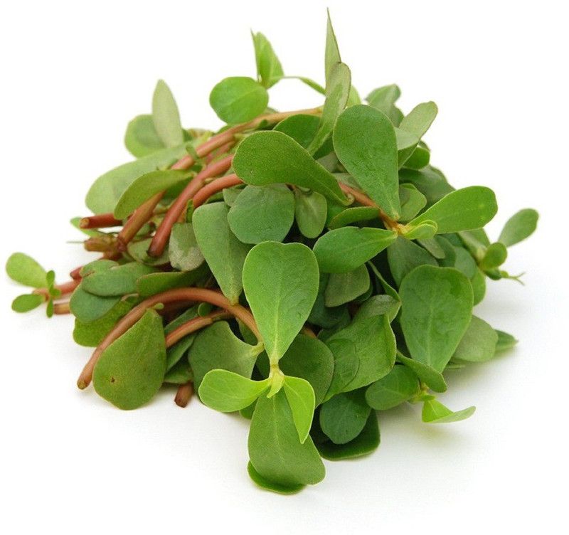 Mozette Kulfa Seed  (41 per packet)