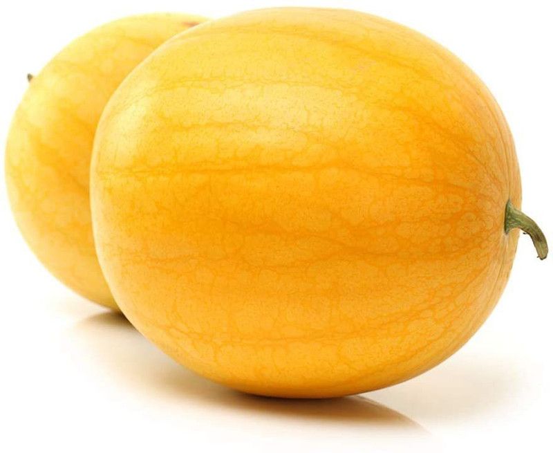 WILLVINE Unique Watermelon Seeds, Delicious and seedless Seed  (100 per packet)