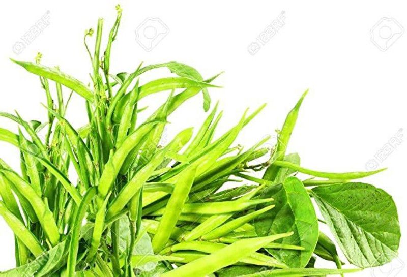 KANAYA Green Garden Cluster Beans Seed  (240 per packet)