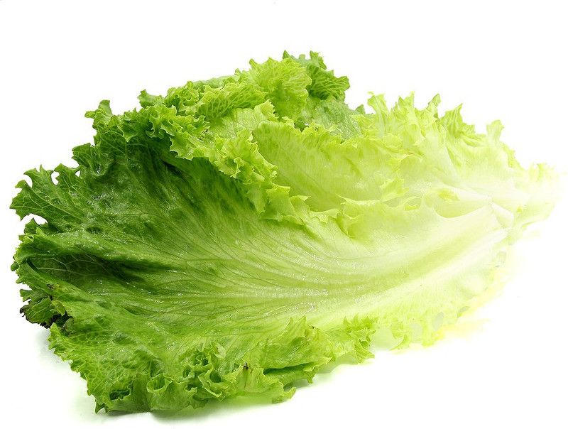 SAGAR Lettuce Seed  (300 per packet)