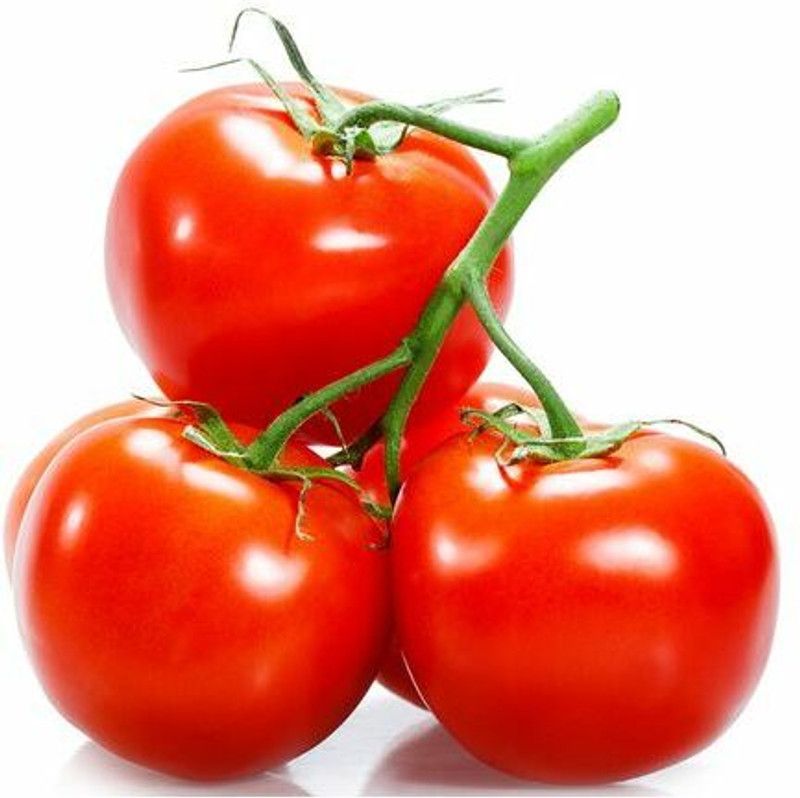STOY ORGANIC TOMATO Red Tomato Seed  (500 per packet)