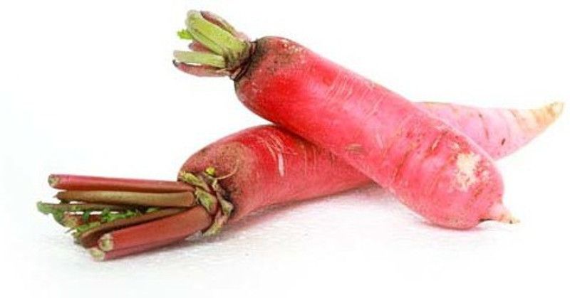 Nodoc Red Radish Seed  (50 per packet)