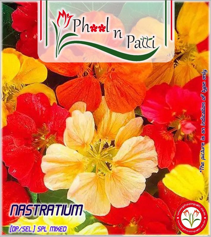 Phool n Patti Nasturtium OP Seed  (100 per packet)