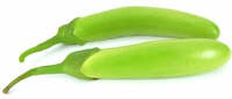 Mozette Organic Brinjal green long Seed  (48 per packet)
