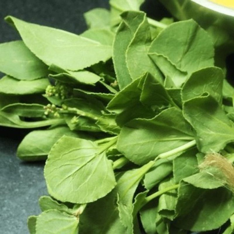 Mozette Chukka Kura/Sorrel Seed  (60 per packet)