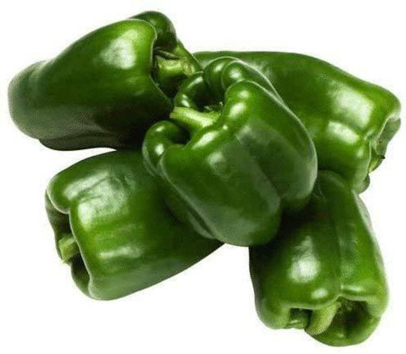 Nodoc Green Capsicum (shimla mirch) Seed  (25 per packet)