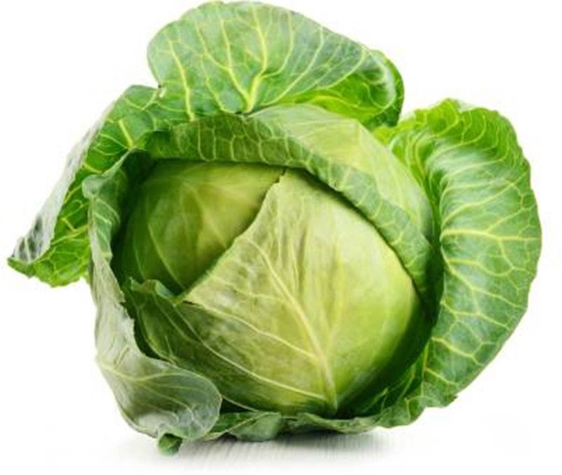 SAGAR Cabbage Seeds Seed  (225 per packet)