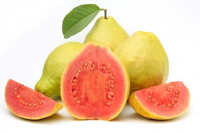 Paudha Guava Hybrid Fruit Seed  (27 per packet)