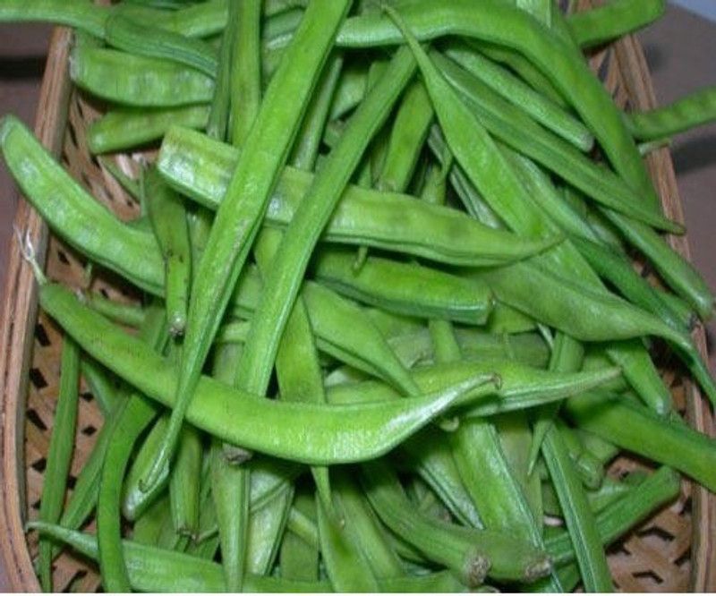 Nodoc Cluster beans Seed  (45 per packet)