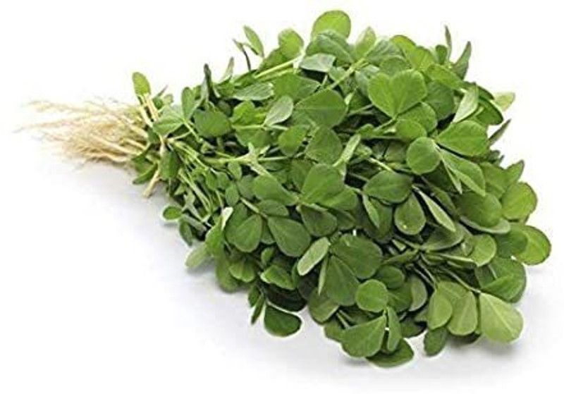 Greenly Methi/Fenugreek Seed  (19 per packet)