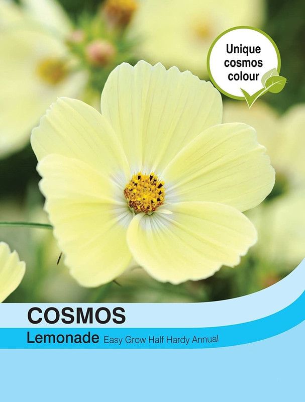 CYBEXIS Cosmos Lemonade Seed  (1 g)
