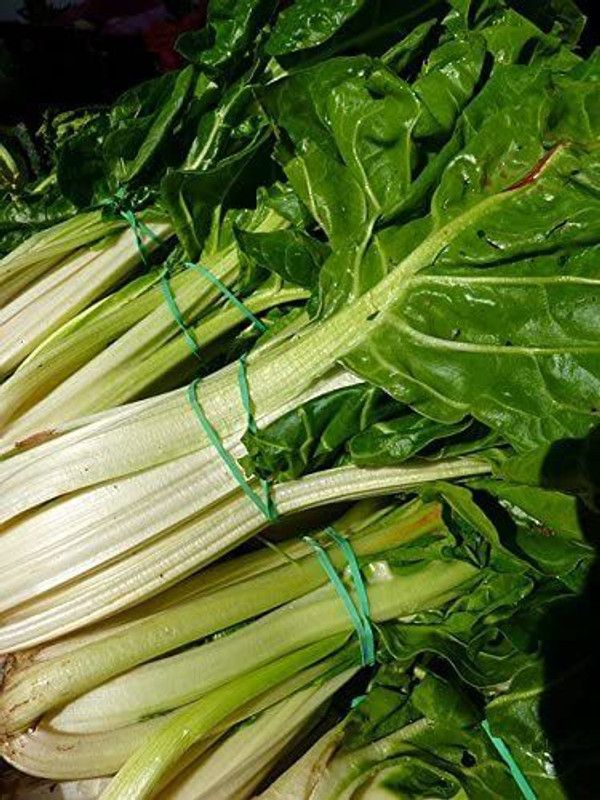 Mozette Swiss Chard White Plant Seed  (47 per packet)