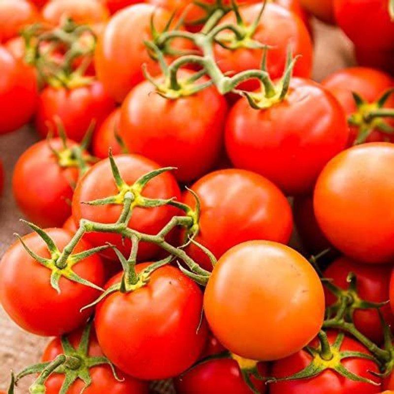 WILLVINE KGF -819 Sweetie Tomato Seeds Seed  (200 per packet)