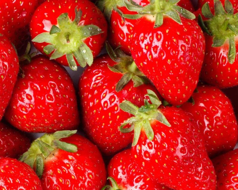 XOLDA Organic Strawberry Fruit Seed  (87 per packet)