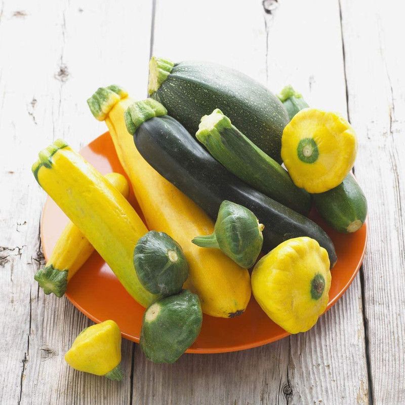 CYBEXIS GBPUT-27 - Zucchini and Squash Mix - (675 Seeds) Seed  (675 per packet)