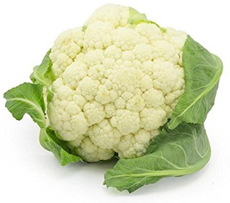 SONIRO Cauliflower F1 Hybrid Seed phool gobhi Seed  (300 per packet)