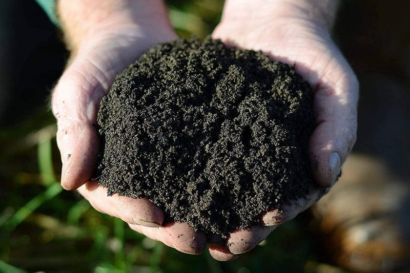 NILKANTH FARM 100% Pure Organic Earthworm's Vermicompost Manure-Compost | Organic Fertilizer Manure  (1 kg, Powder)