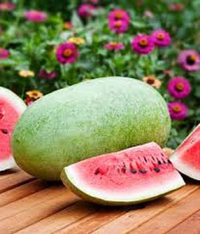 V Seed Charleston Grey Watermelon Seeds- 100 Seed  (100 per packet)