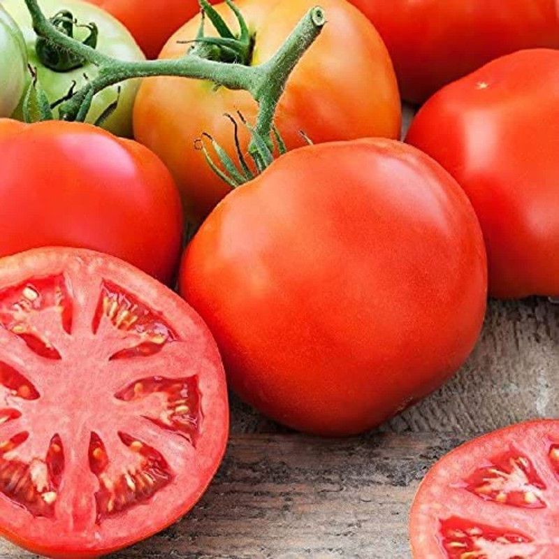 dpays Tomato Seed  (150 per packet)