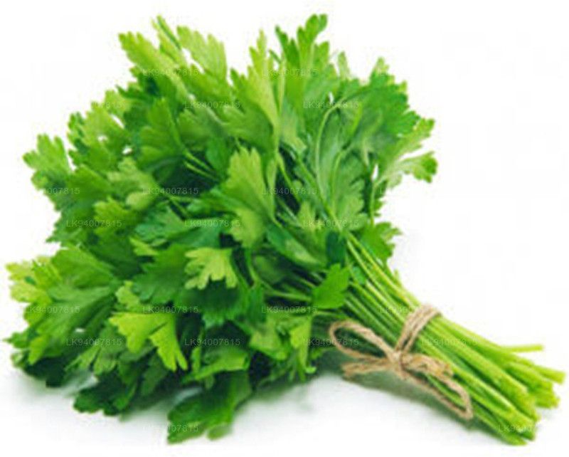 Mozette Parsley Seed  (46 per packet)