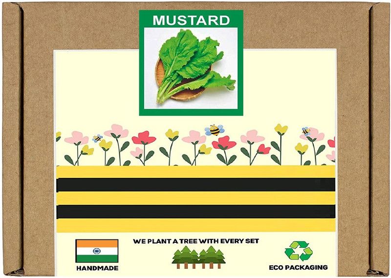 CYBEXIS F1 Hybrid Japanese Mizuna Mustard Seeds4000 Seeds Seed  (4000 per packet)
