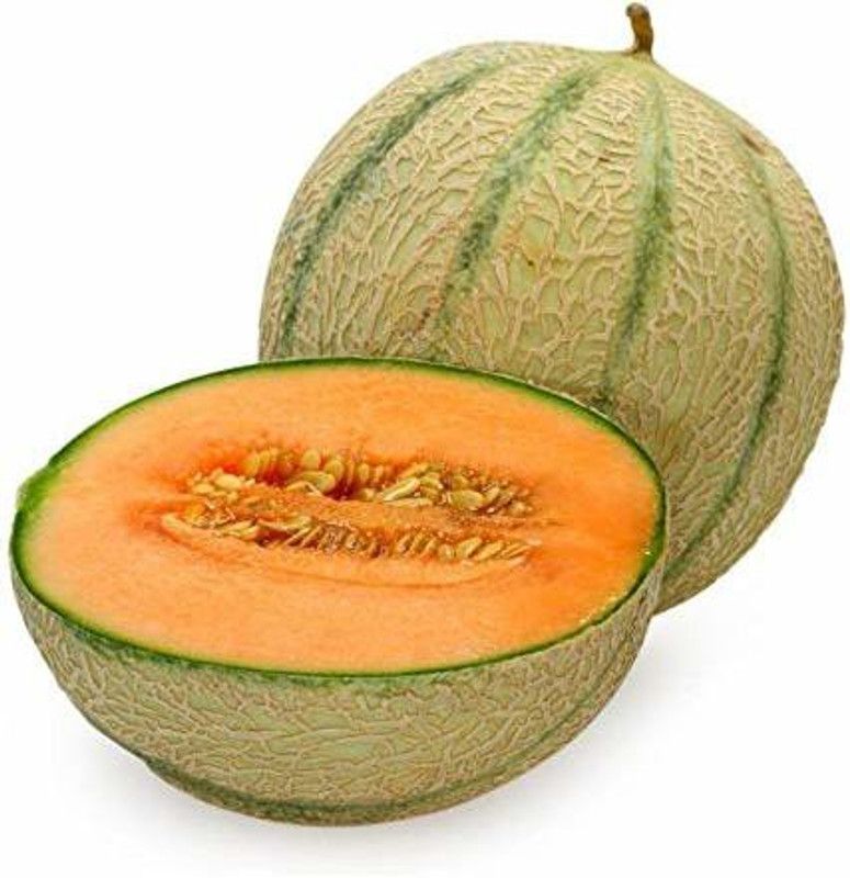 JRYU Kharbuja Hybrid Fruit Seed  (120 per packet)
