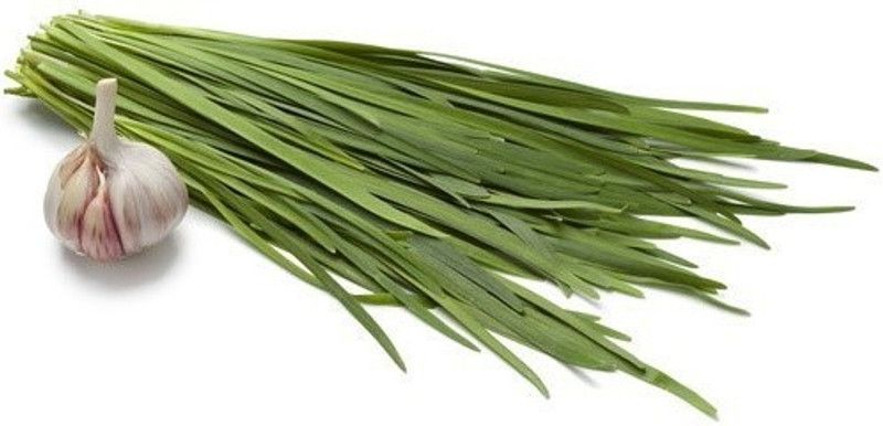XOLDA Garlic Chives Seed  (53 per packet)