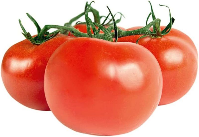 VibeX ® VMR-483 Jet Star Hybrid Tomato Seeds Seed  (200 per packet)