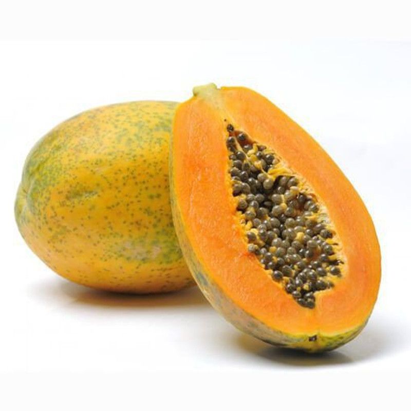 Nodoc Papaya Hybrid Seed  (26 per packet)