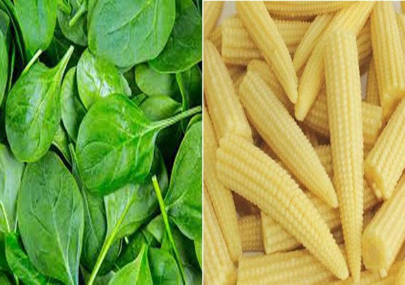 VibeX Baby Spinachand Baby Corn Seeds Seed  (10 per packet)