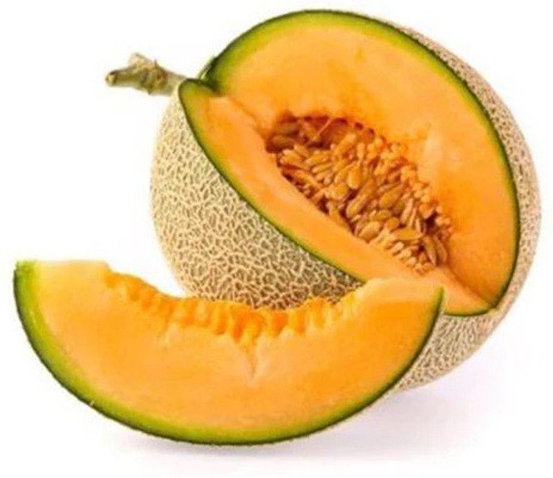 MRCY Musk Melon Kharbooja Seed  (100 per packet)