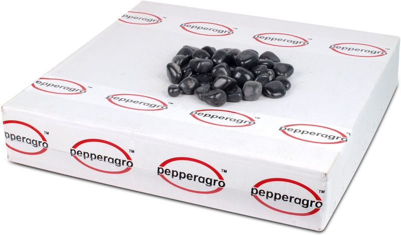 Pepper Agro Pebbles Stones for Decoration / Garden / Table / Aquarium 15 to 25 mm Black Polished Pebble, 450 Gram Polished Oval Rock Pebbles  (Black 450 g)