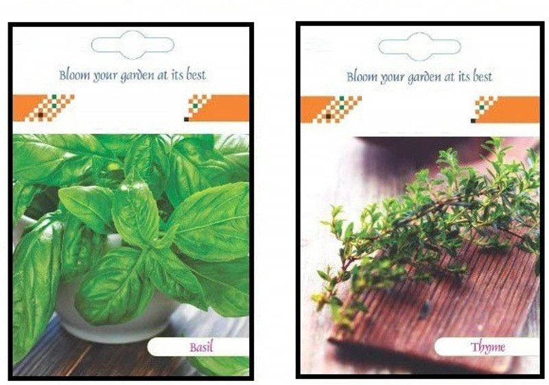 CYBEXIS 2-Varieties-Basil, Thyme Seed  (10 g)