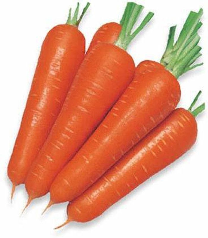 SONIRO CARROT SEED HYBIRD GAJAR Seed  (260 per packet)