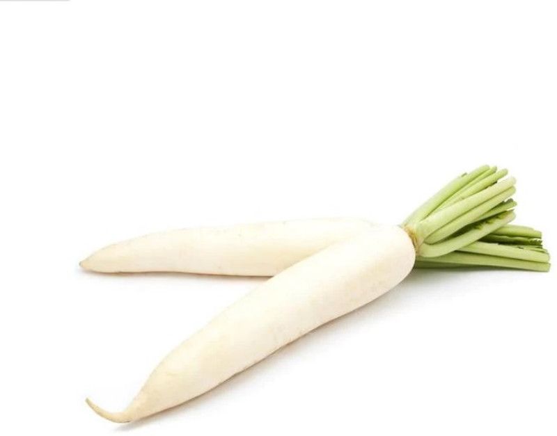 WYCAL Radish (Long) - OP Vegetable Seed  (100 per packet)