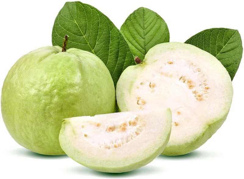 Paudha Gauva Fruit Seed  (11 per packet)