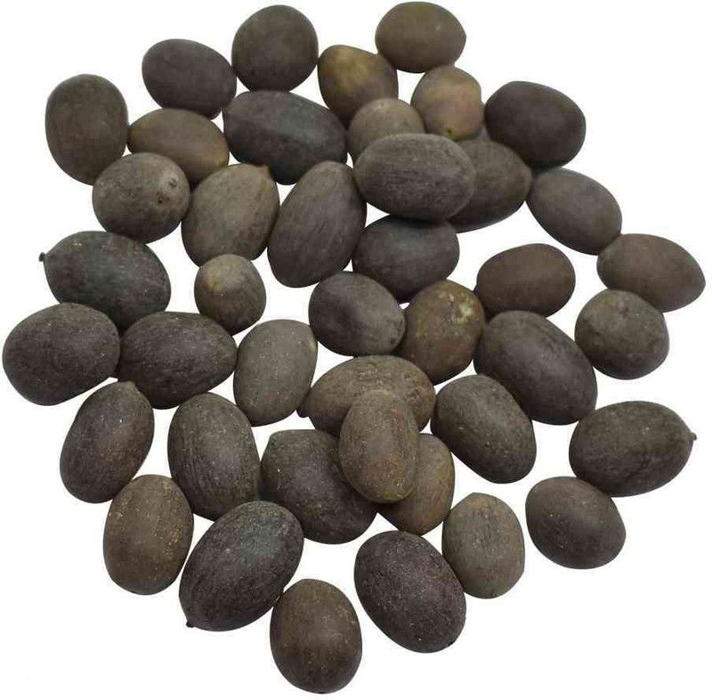 Naturewell KAMAL GATTA - KAMAL BEEJ - LOTUS SEEDS - NELUMBO NUCIFERA (250 gram Per pack) Seed  (250 per packet)