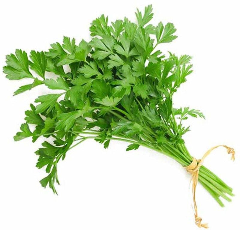 XOLDA Parsley Vegetable Seed  (12 per packet)